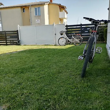 къщички морски светулки