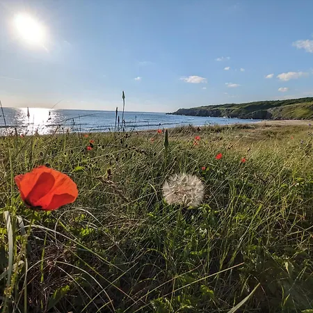 къщички морски светулки Sinemoretz