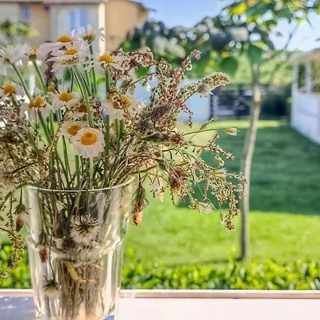 къщички морски светулки Holiday home Sinemoretz