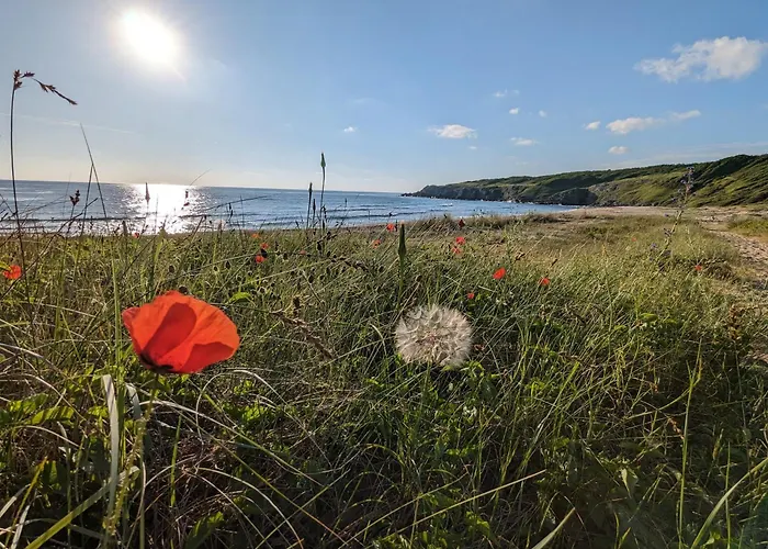 къщички морски светулки Sinemorec